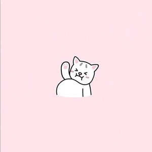 Meet your Posher, Meng